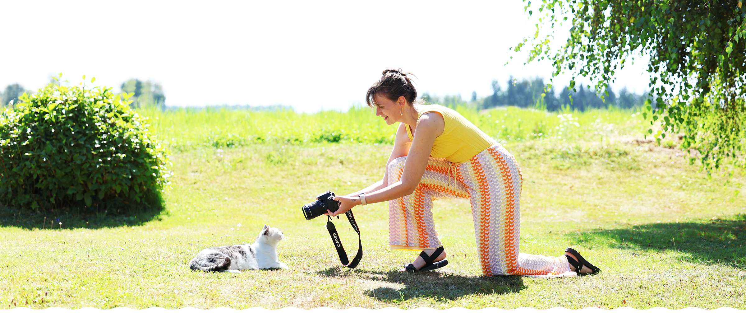 Katze in stimmungsvoller Fine-Art-Fotografie